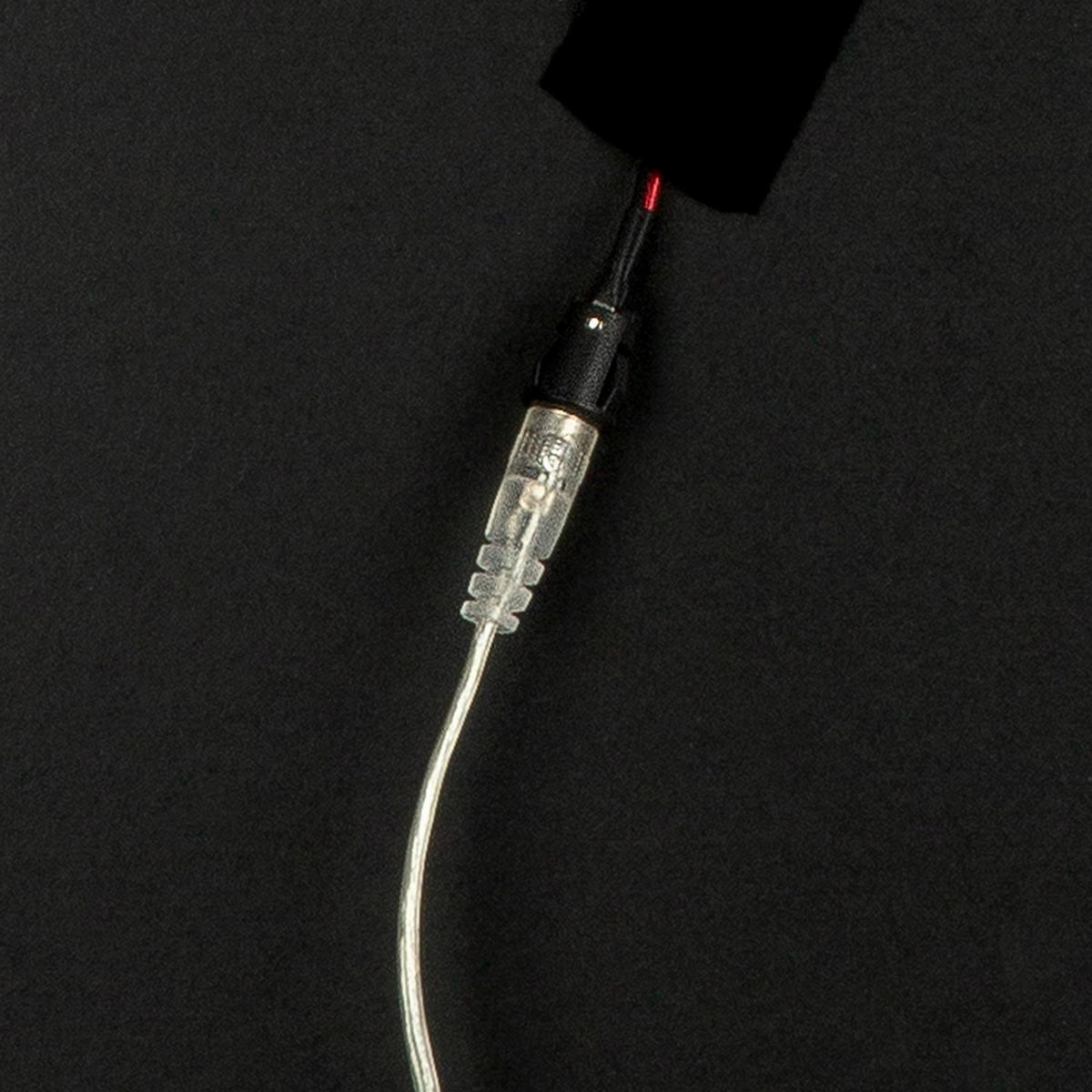 Leinwandbild Dog Love Multicolor ca. 64x64cm - Multicolor, Basics, Holzwerkstoff/Textil (64/64cm)