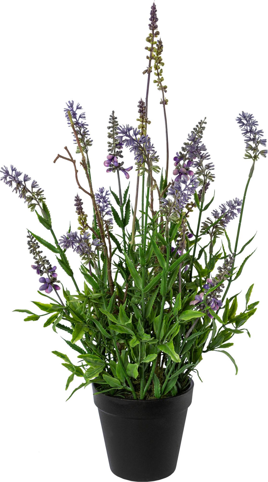Kunstpflanze Lavendel II Grün/Schwarz - Dunkelgrün/Braun, Basics (48cm) - Modern Living