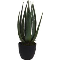 Műnövény Aloe Vera - zöld, Basics, műanyag (25/45cm)
