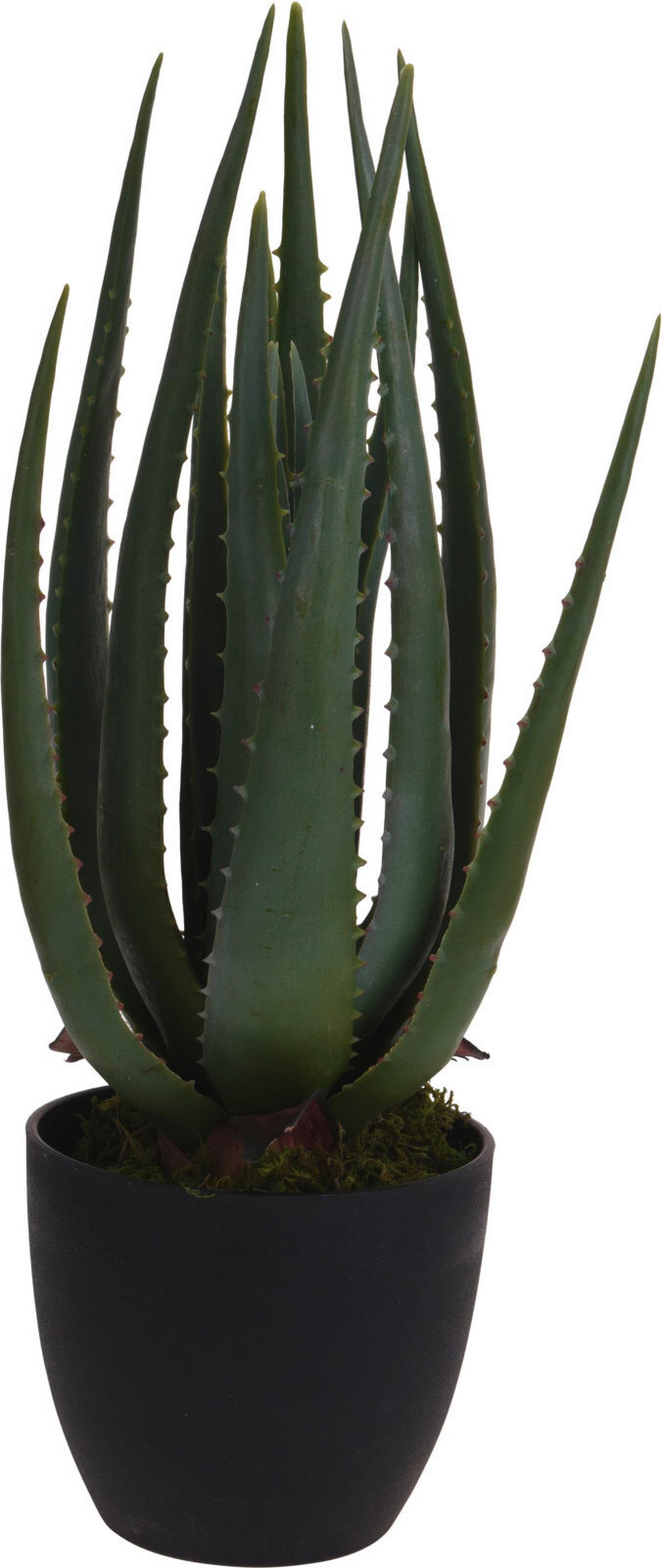 Műnövény Aloe Vera - zöld, Basics, műanyag (25/45cm)