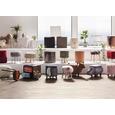 Hocker Braun - Schwarz/Braun, Kunststoff/Textil (40/42/40cm) - Modern Living Hocker Braun - Schwarz/Braun, Kunststoff/Textil (40/42/40cm) - Modern Living