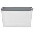 Box mit Deckel Lorry Grau - Transparent, KONVENTIONELL, Kunststoff (5l) - PLAST 1