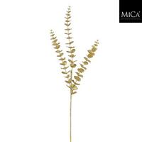 Okrasna Vejica Eucalyptus - Moderno (78/20/3cm) - Mömax
