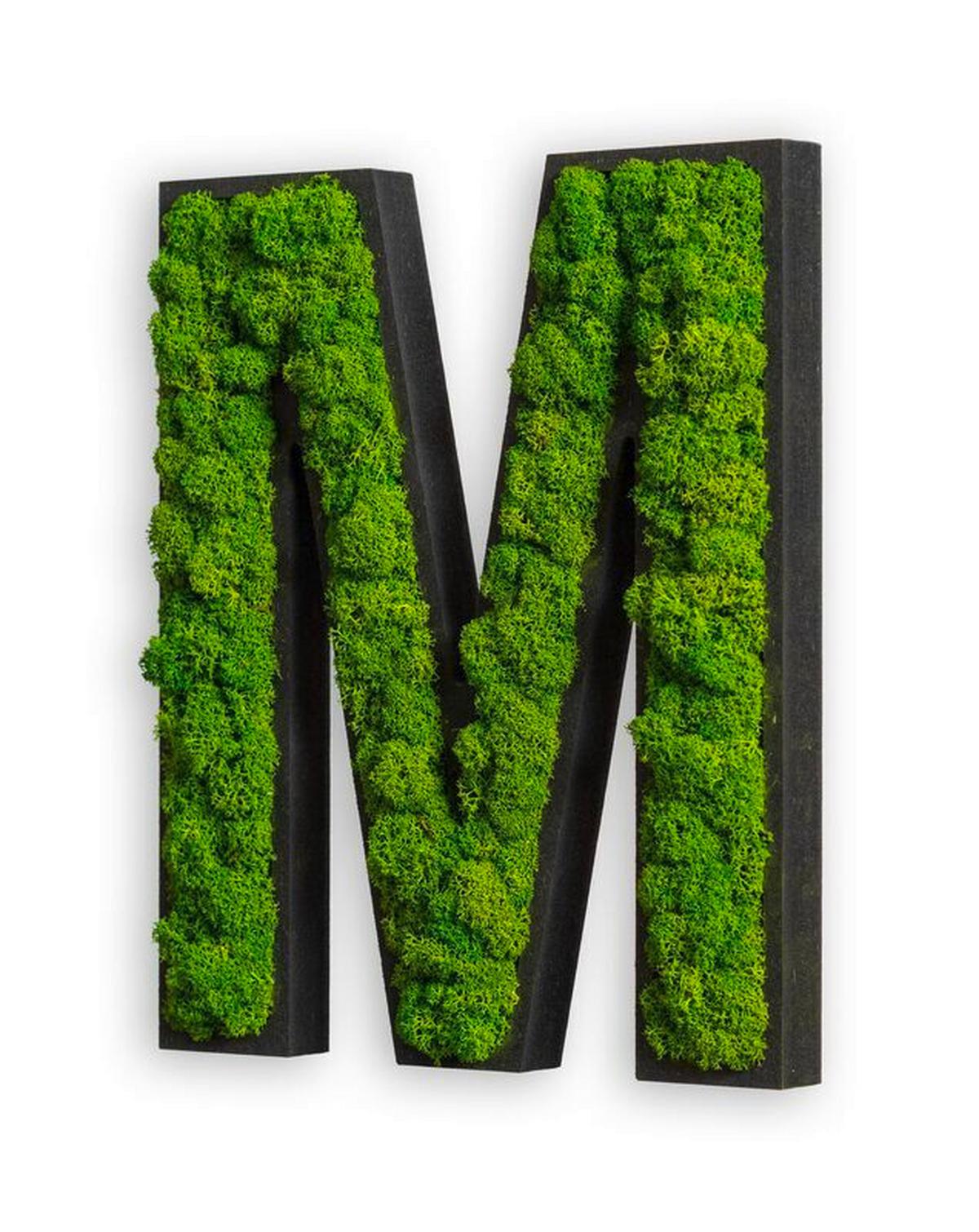 Moosbild Grün - Schwarz/Grün, Basics, Naturmaterialien/Holz (25/21/4cm)