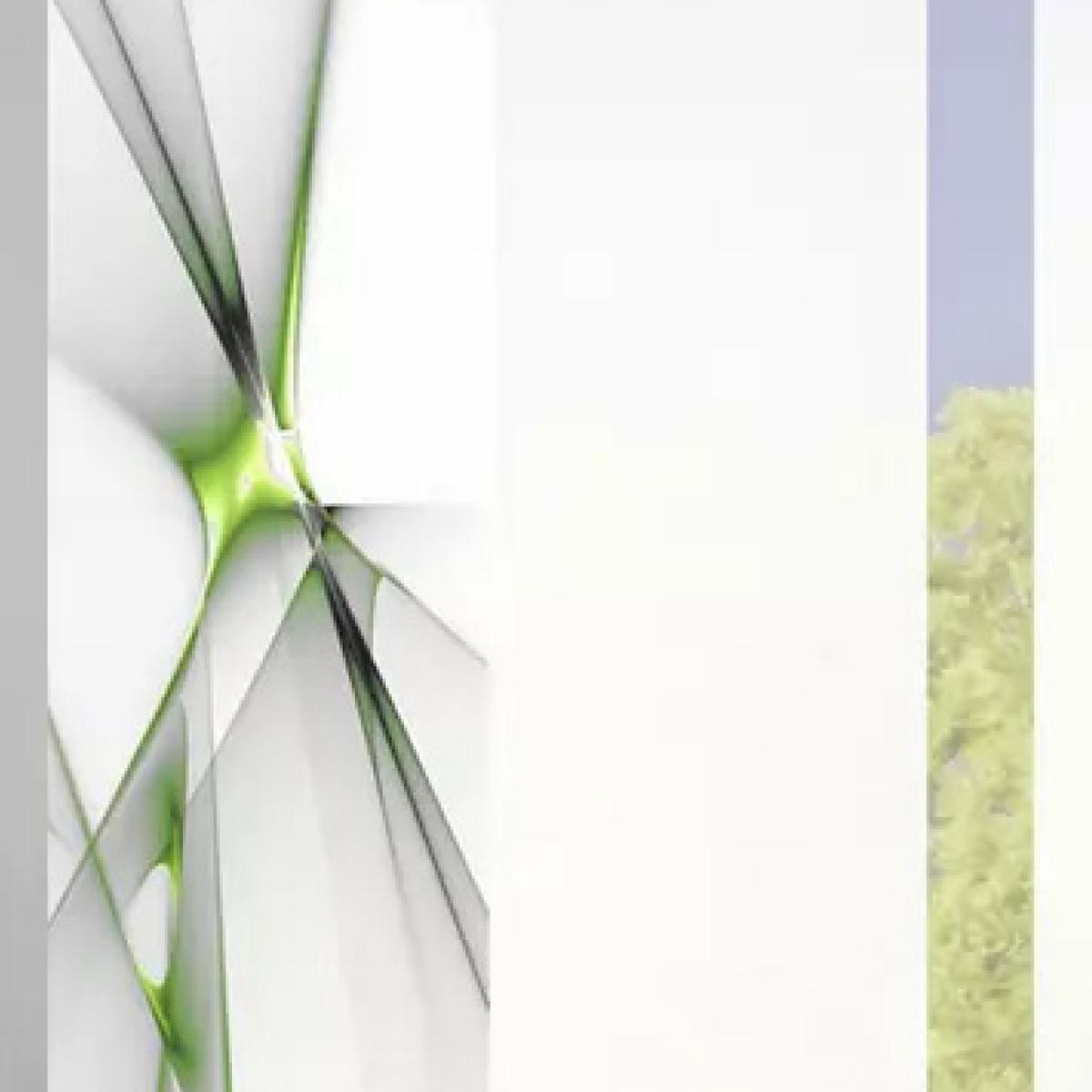 ZASŁONA PANELOWA FRANKLIN APFEL 4-CZĘŚCIOWY - jasnozielony, Basics, tkanina (60/245cm)