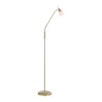 LED-Stehleuchte Pino Dimmbar max. 2,6 Watt - Basics (74/74/163cm) - Paul Neuhaus