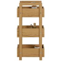 Standregal in Eichefarben - Eichefarben, Modern, Holzwerkstoff (37/79/24cm) - Mömax