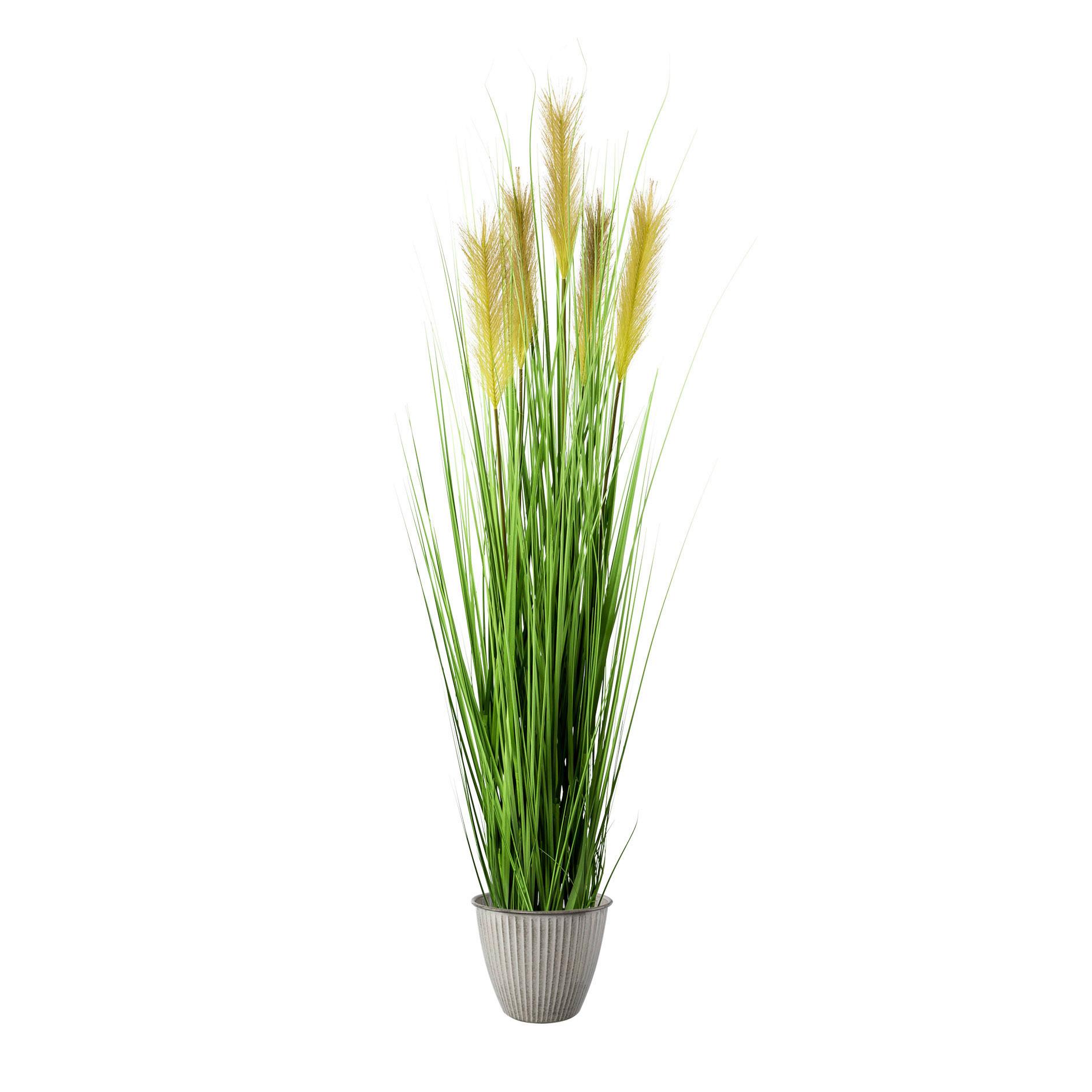 Dekogras Fleur mit Übertopf, ca. 150cm - Grün, MODERN, Kunststoff (150cm)