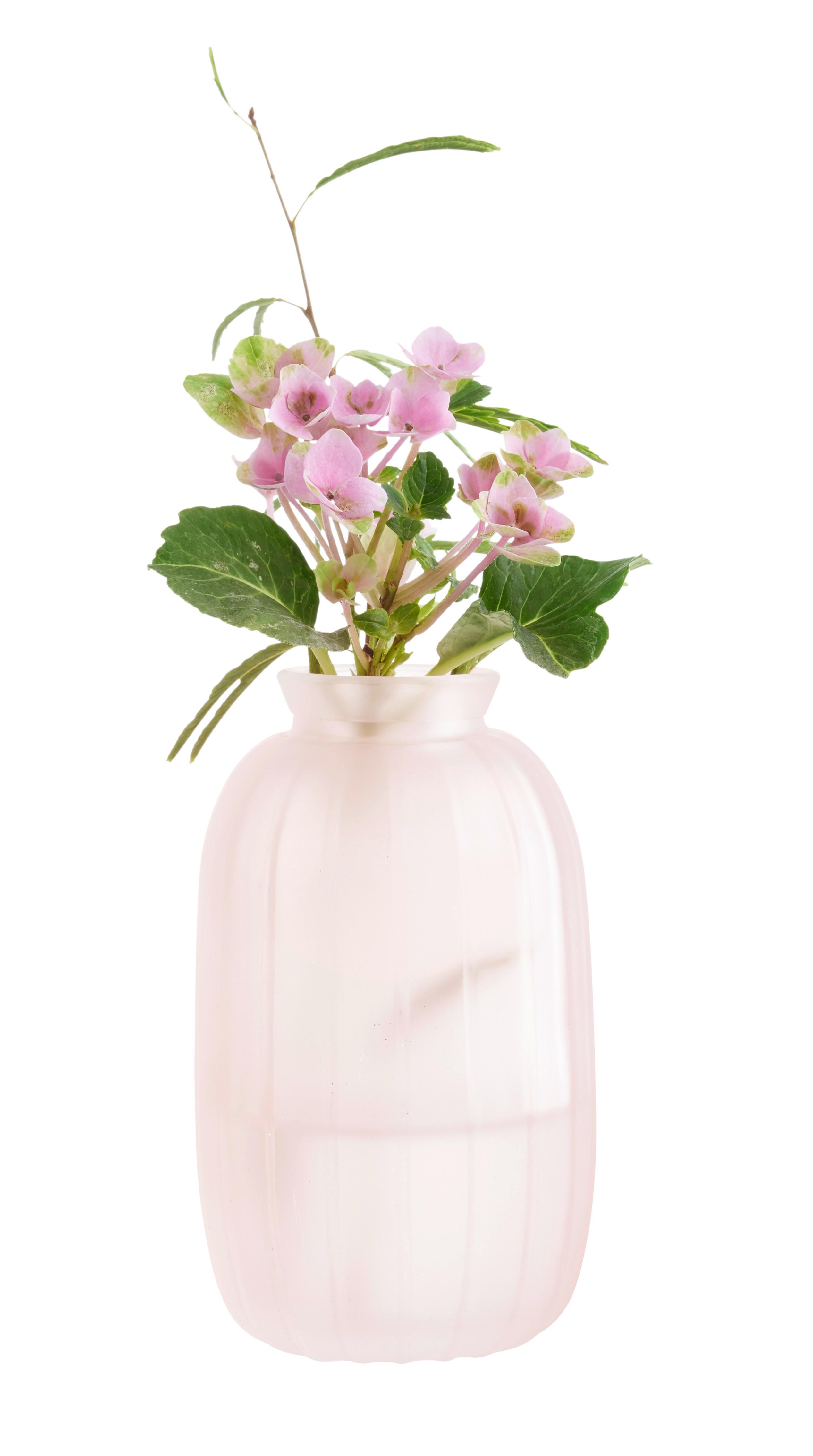 Váza Jil - rózsaszín, Konventionell, Üveg (7/12cm) - Modern Living