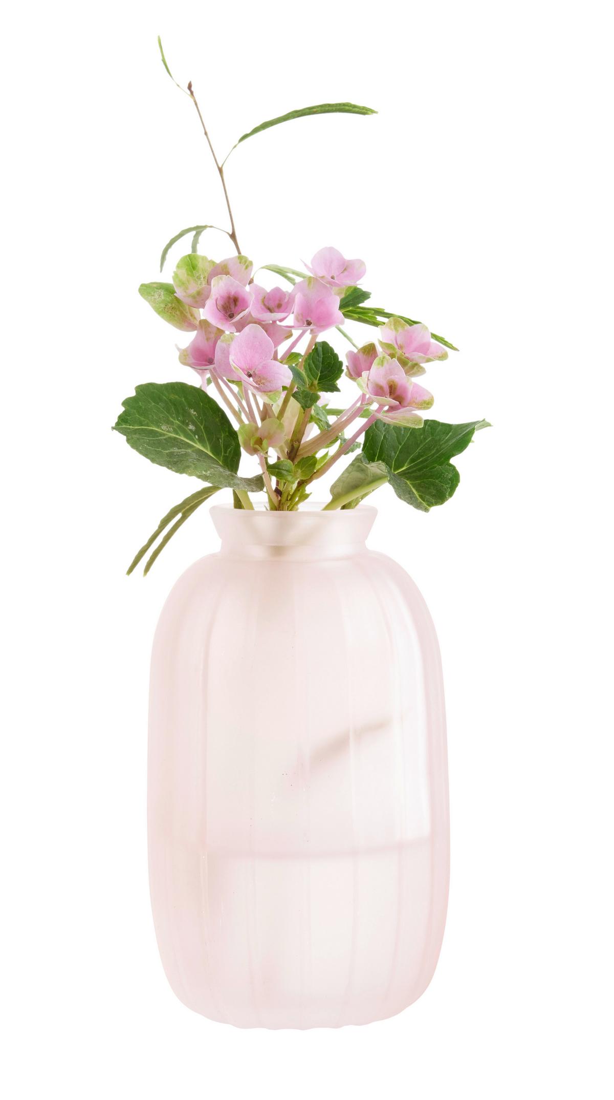 Váza Jil - rózsaszín, Konventionell, Üveg (7/12cm) - Modern Living
