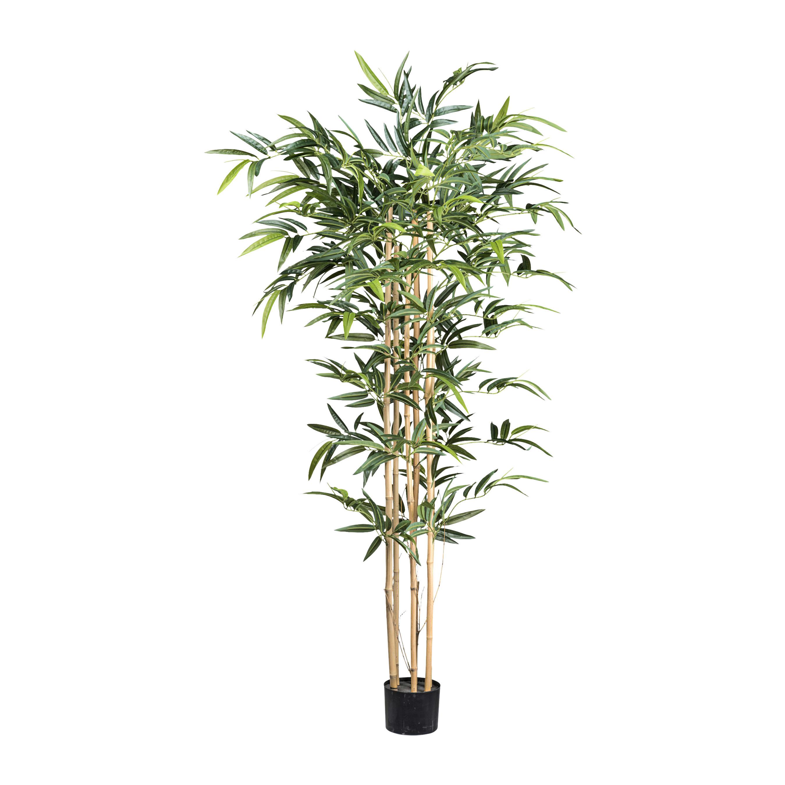 Kunstpflanze Bambus II in Grün/Naturfarben - Schwarz/Naturfarben, Romantik / Landhaus, Kunststoff (150cm) - Modern Living
