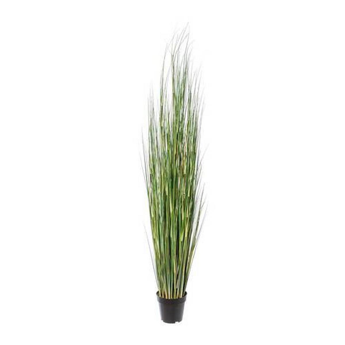 Kunstpflanze Equisetum Gras ca. 155cm - Schwarz/Grün, Basics, Kunststoff (155cm) - P & B