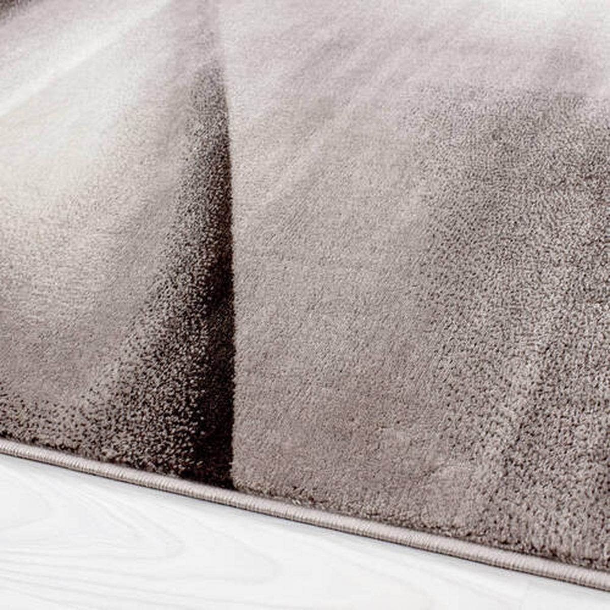 Flachwebeteppich Miami Braun ca. 240x340cm - Braun, Design, Textil (240/340cm) - Novel