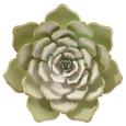 Fali Dekoráció Lena - Zöld, Fém (23,5/2,5cm) - Mömax modern living Fali Dekoráció Lena - Zöld, Fém (23,5/2,5cm) - Mömax modern living