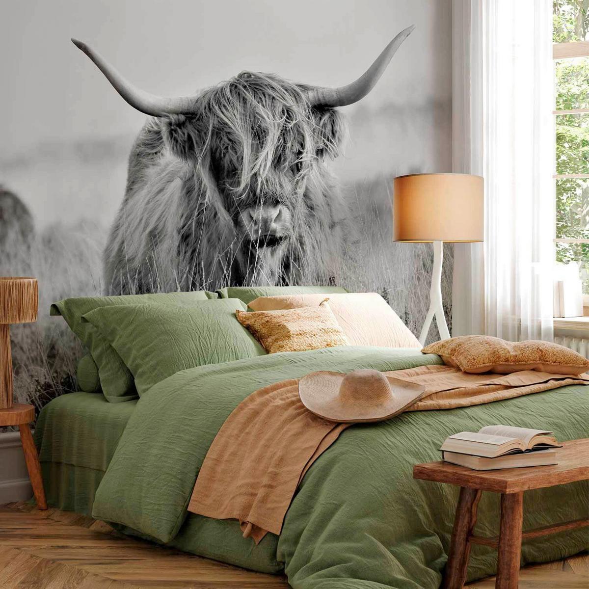 Fototapeta Highland Cattle, 200x140cm - siva/črna, Trendi, tekstil (200/140cm) - artgeist