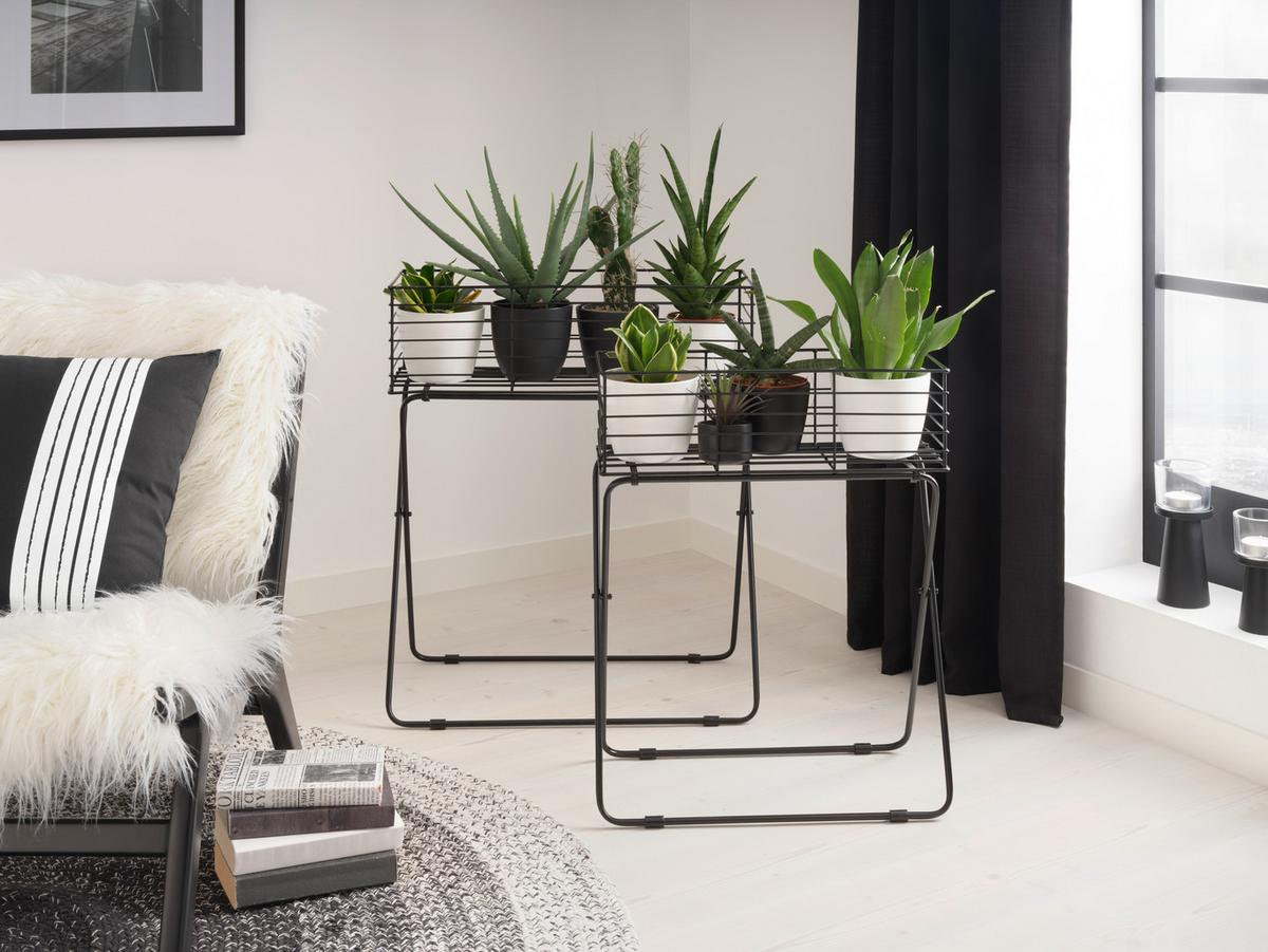 Növénytartó Black Times - fekete, Basics, fém (60/72/30cm) - Modern Living