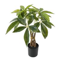 Műnövény Pachira - barna/fekete, műanyag (37/42cm)