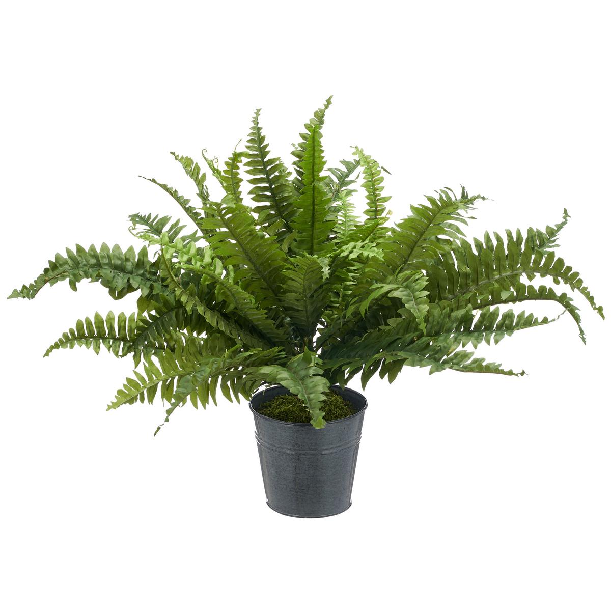 Kunstpflanze Bostonfarn Grün Ø ca. 70cm - Zinkfarben/Grün, Basics, Kunststoff/Metall (70cm) - P & B