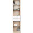 Regal Weiß/Eichefarben - Eichefarben/Weiß, Holz/Holzwerkstoff (47/197/38cm) - Modern Living Regal Weiß/Eichefarben - Eichefarben/Weiß, Holz/Holzwerkstoff (47/197/38cm) - Modern Living