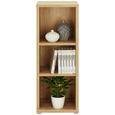 Regal Ducato - hrast, Moderno, kovina/umetna masa (43/116/40cm) - Premium Living