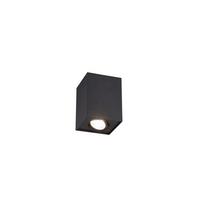 Deckenleuchte Biscuit max. 35 Watt - Basics (9,6/9,6/12,5cm) - Trio Leuchten