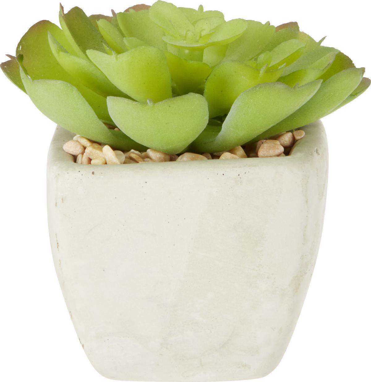 Plantă artificială Sukkulente - verde, Lifestyle, plastic (7-9cm) - Modern Living