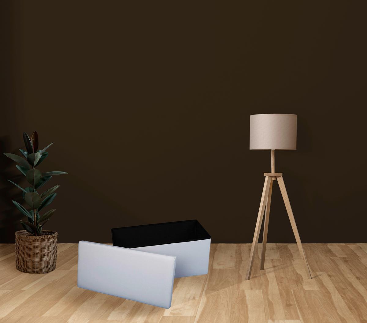 Sitzbox in Weiß, Kunststoff faltbar mit Stauraum - Weiß, Basics, Kunststoff (76/38/38cm) - Echtwerk