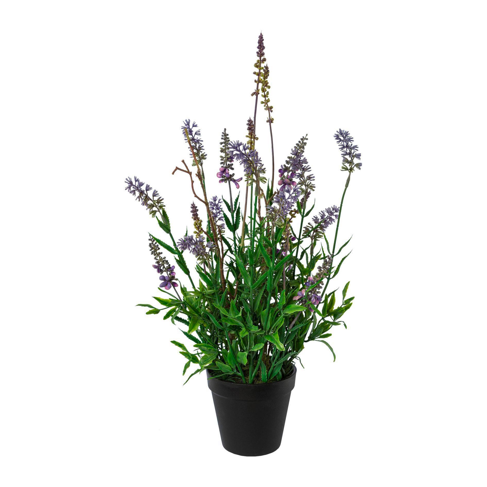 Műnövény Lavendel - Lila/Zöld, Basics, Műanyag (48cm) - Modern Living