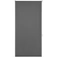 Rolo Za Pritrjevanje Daylight - siva, Moderno, tekstil (75/150cm) - Mömax modern living