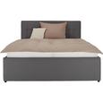Polsterbett Grau 160x200cm - Schwarz/Grau, KONVENTIONELL, Holz/Holzwerkstoff (160/200cm) - PREMIUM LIVING