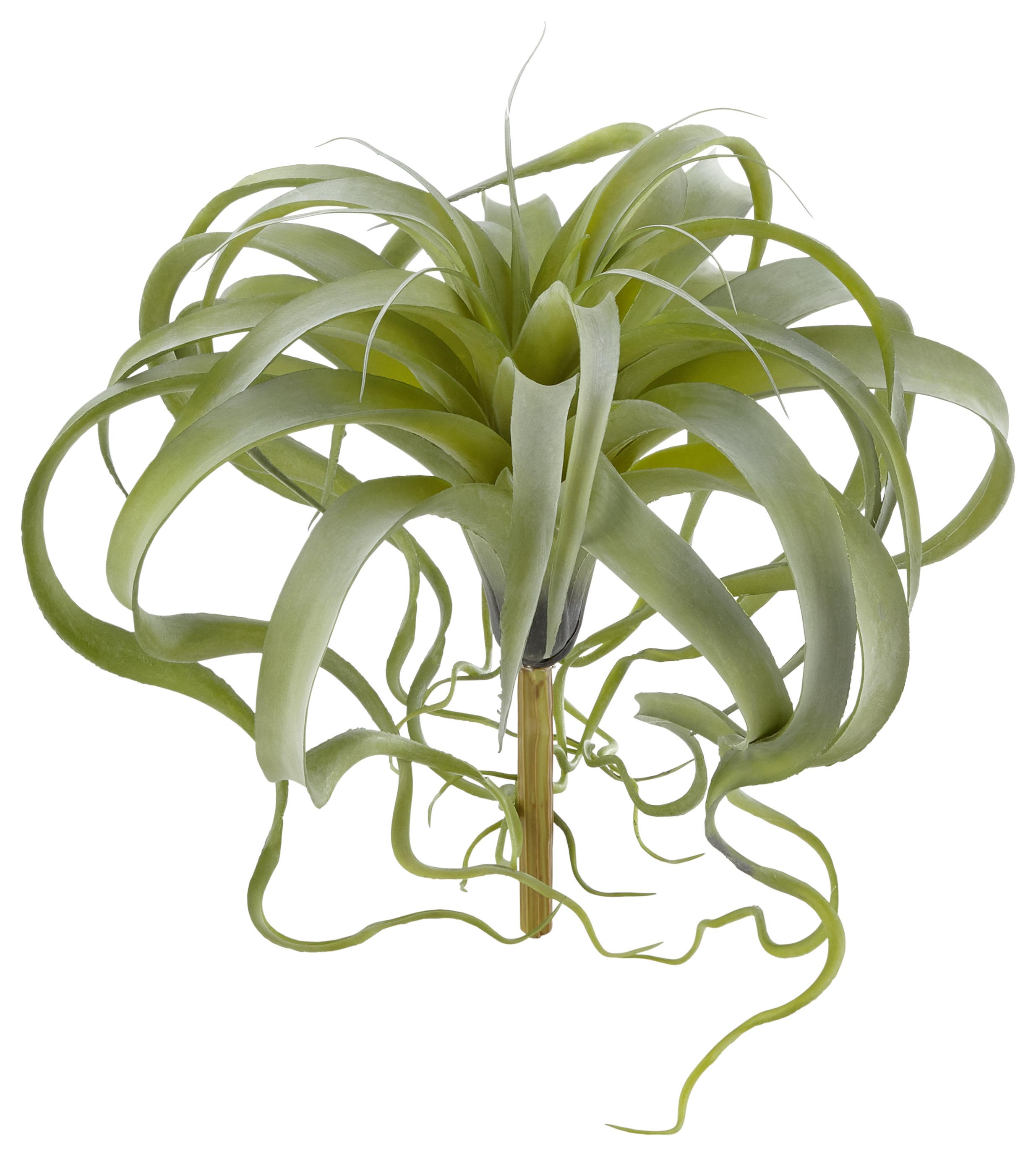 Plantă artificială Tillandsie - verde, Basics, plastic (35/32cm)