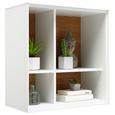 Stenska Polica Arizona - bela, Moderno, leseni material (60/63/32cm) - Premium Living Stenska Polica Arizona - bela, Moderno, leseni material (60/63/32cm) - Premium Living