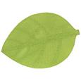 Tischset Leaf verschiedene Farben - Weiß/Grau, Weitere Naturmaterialien (33/50cm) Tischset Leaf verschiedene Farben - Weiß/Grau, Weitere Naturmaterialien (33/50cm)