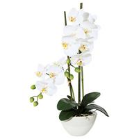 Kunstpflanze Orchideen Weiß/Grün - Weiß/Grün, Design, Keramik/Kunststoff (50cm)