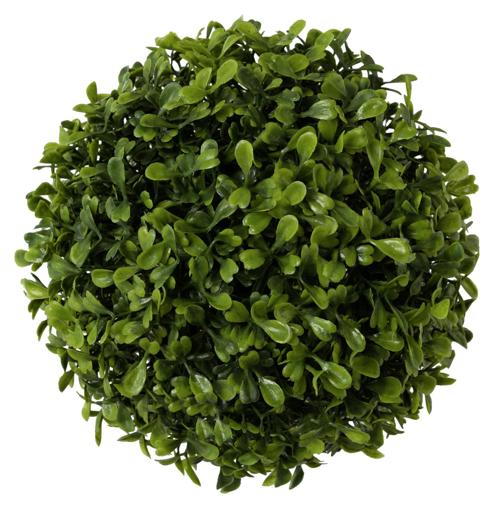 Műnövény Buxus - Zöld, Natur, Műanyag (18cm) - Modern Living
