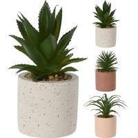 Plantă artificială Terrazzo - Basics (10/17,5cm)