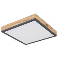 Stropna Led-svetilka Doro, S Sijalko - barve grafita/opal, Basics, kovina/umetna masa (30/30cm) - Globo