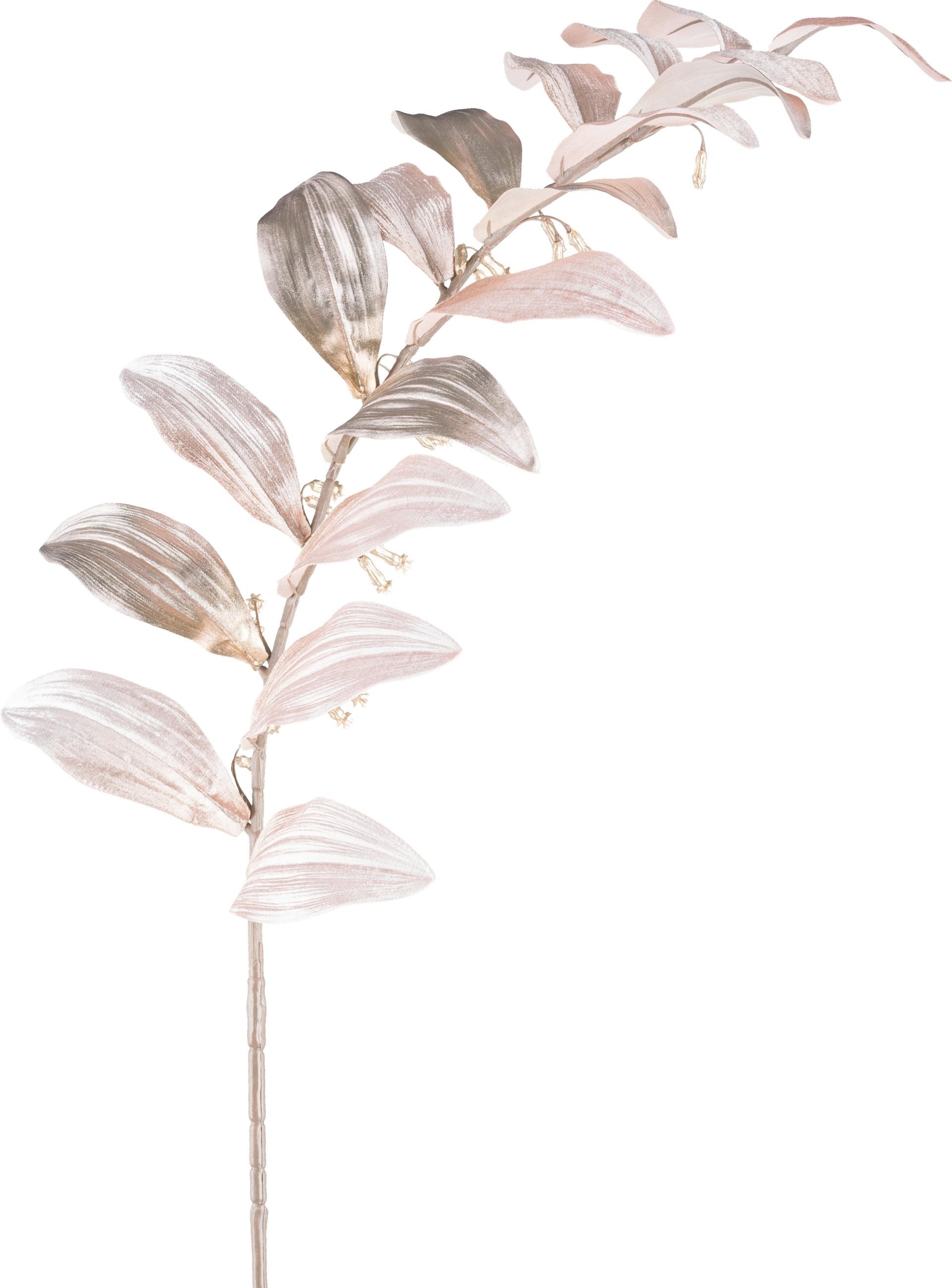 Kunstpflanze Salomonssiegel I Beige - Beige, Basics, Kunststoff (120cm) - Mömax