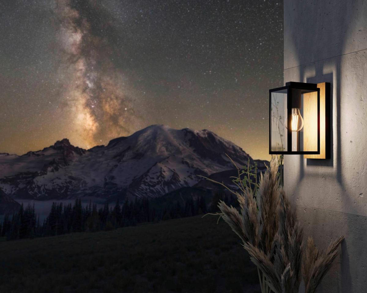 Außenwandleuchte Budrone Braun/Schwarz/Weiß max. 40 W - Schwarz/Braun, Natur, Glas/Metall (16,5/12/27cm) - Eglo