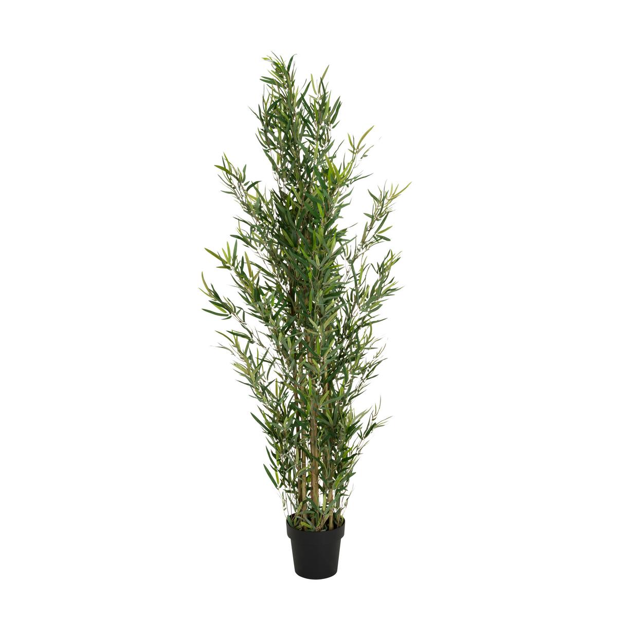 Umetna Rastlina Bambus - črna/zelena, Basics, umetna masa/tekstil (70/165/70cm) - MID.YOU