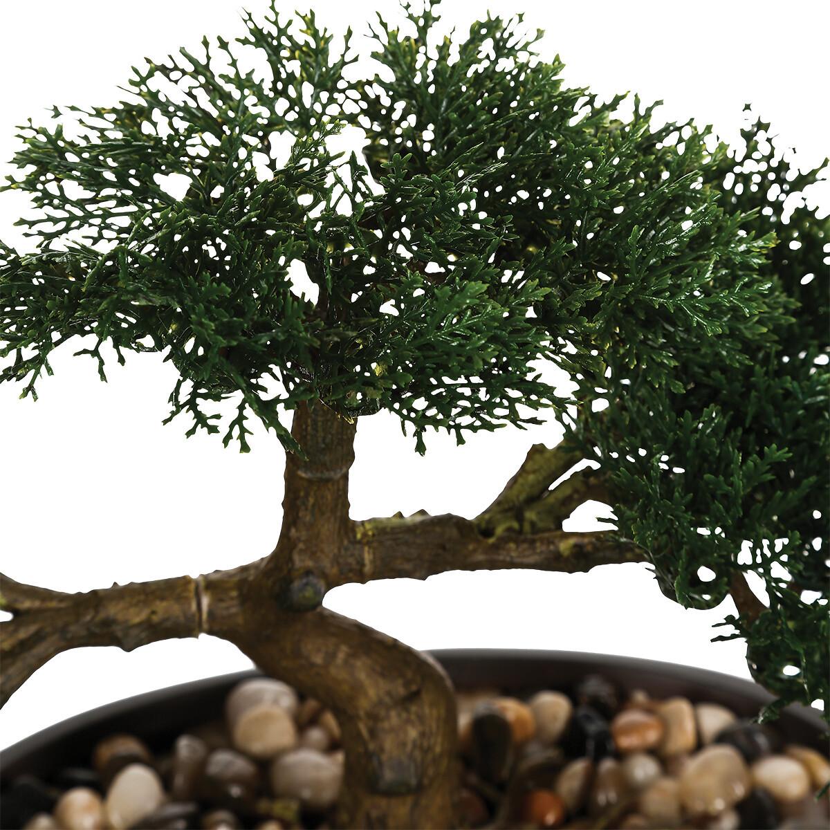 Okrasna Rastlina Bonsai - Moderno (23cm) - Modern Living