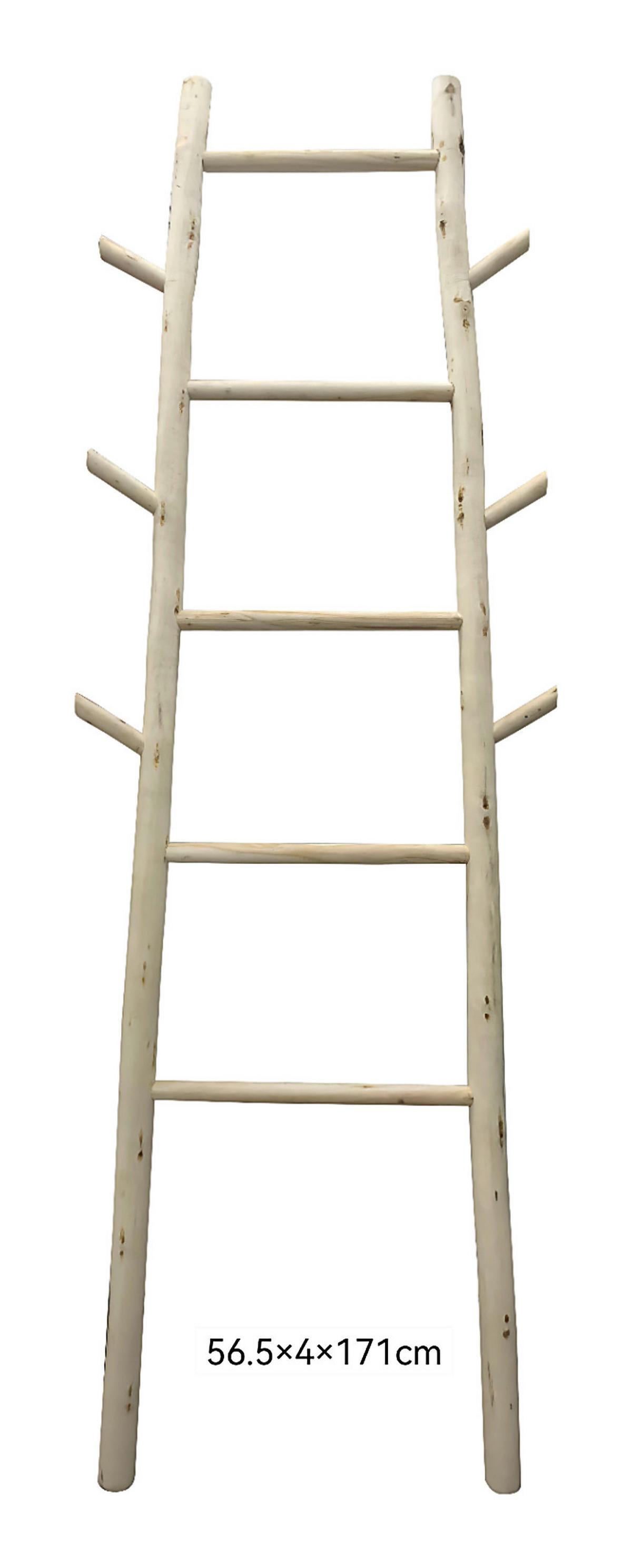 Leiterregal Ron Naturfarben - Naturfarben, LIFESTYLE, Holz (57,5/171/4.5cm) - Mömax