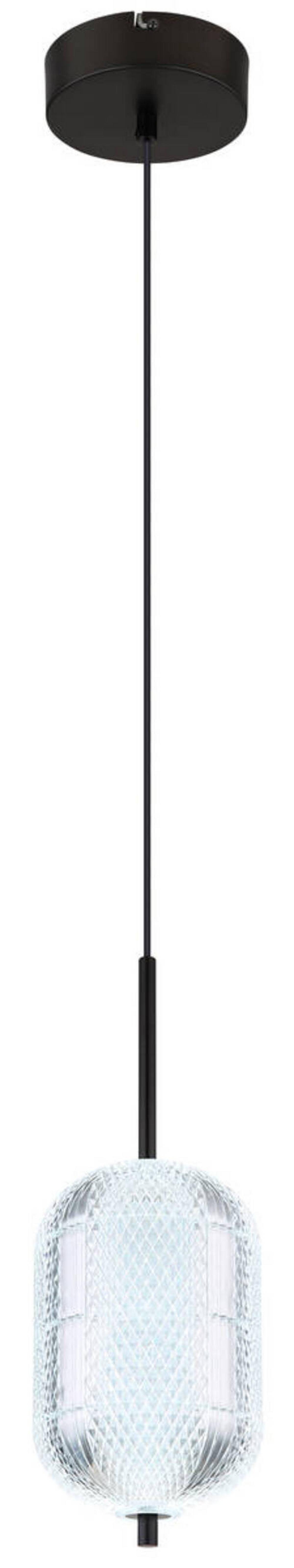 LED-Hängeleuchte Kurius Schwarz max. 12 Watt - Klar/Schwarz, KONVENTIONELL, Kunststoff/Metall (15/120cm) - Globo