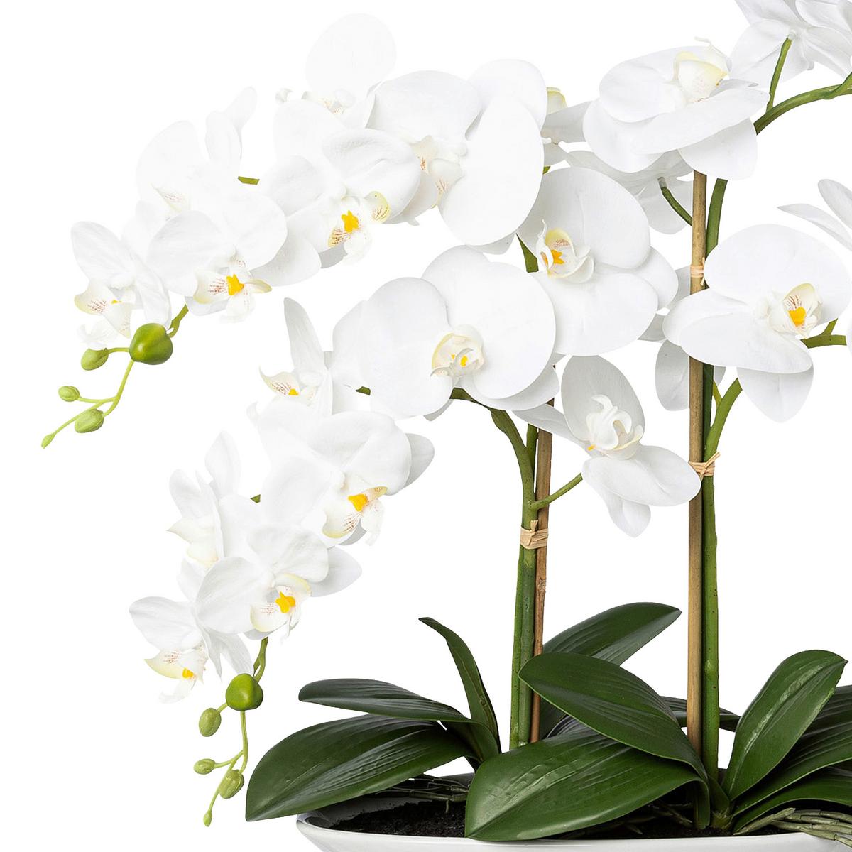 Kunstpflanze Orchideen Weiß/Grün - Weiß/Grün, Design, Keramik/Kunststoff (53cm)