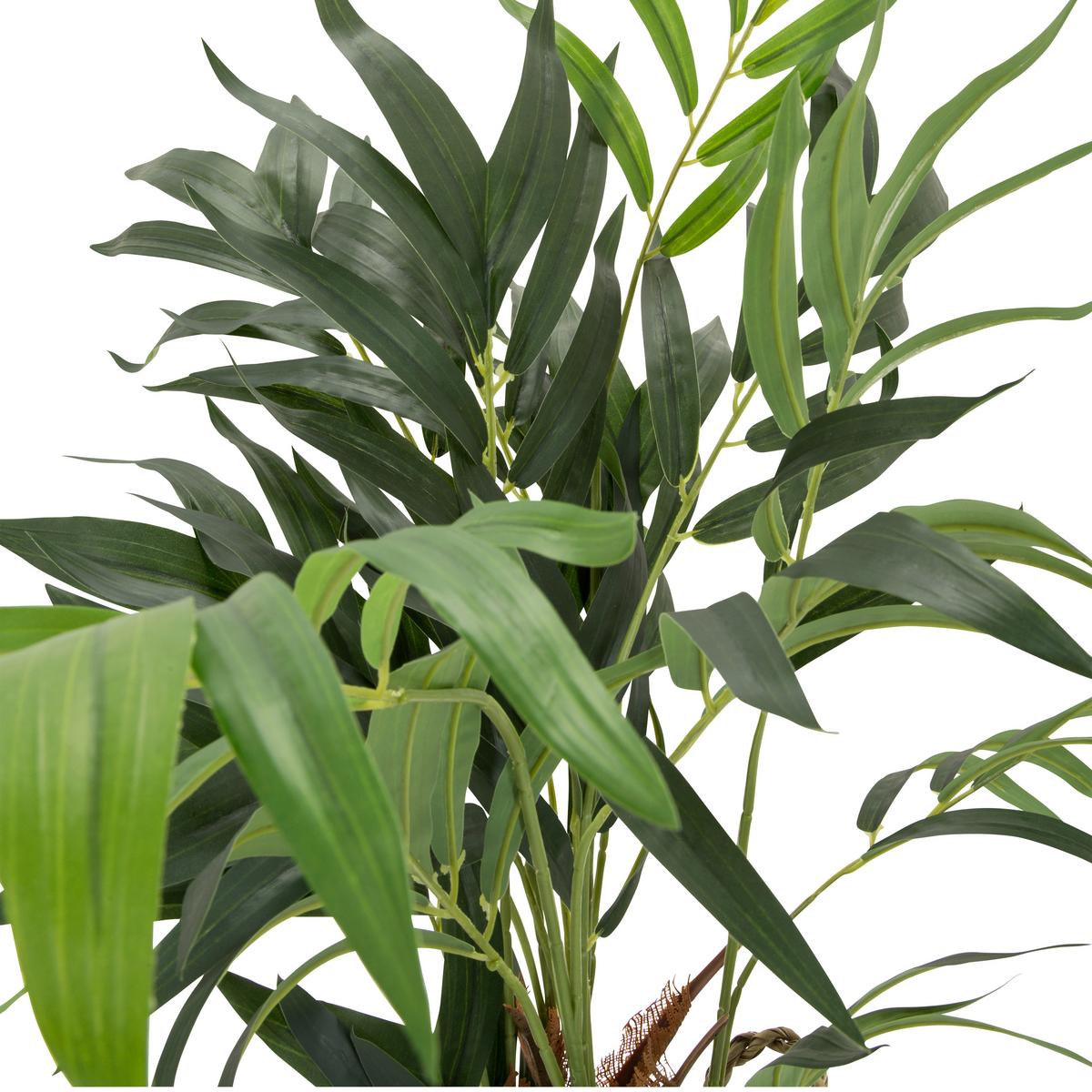 Umetna Rastlina Chamaedorea - svetlo rjava/zelena, Basics, umetna masa/tekstil (50/65/50cm) - MID.YOU