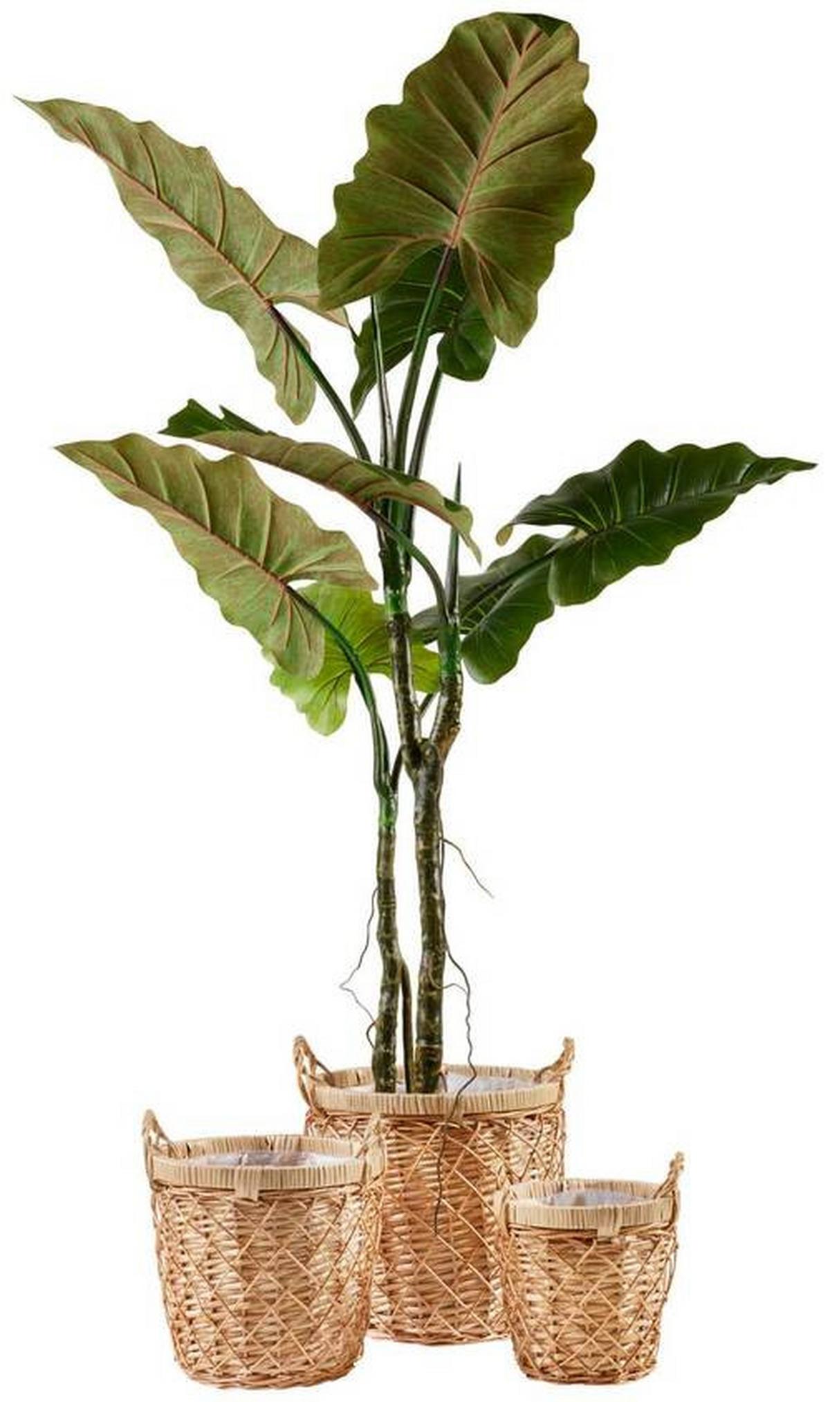 Kosár Warema - natúr, Natur, természetes anyagok (20/20/20cm) - Modern Living