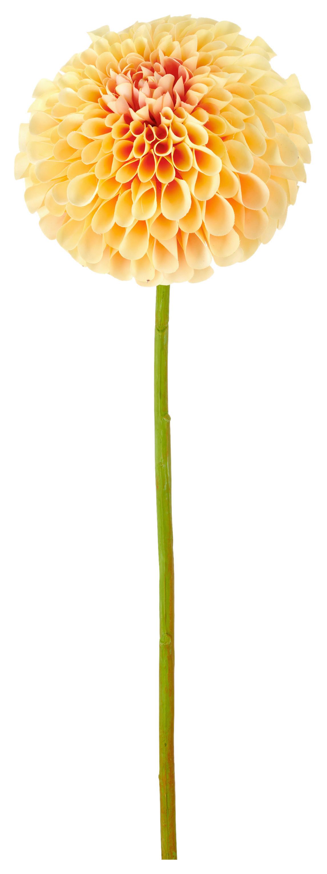 Dhalie I Hellgelb ca. 73cm - Hellgelb/Grün, Basics, Kunststoff/Textil (73cm) - Mömax