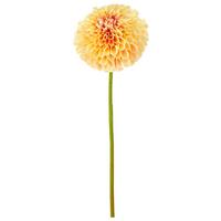 Dhalie I Hellgelb ca. 73cm - Hellgelb/Grün, Basics, Kunststoff/Textil (73cm) - Mömax