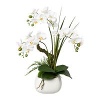 Kunstpflanze Orchideen Weiß/Grün - Weiß/Grün, Design, Keramik/Kunststoff (46cm)