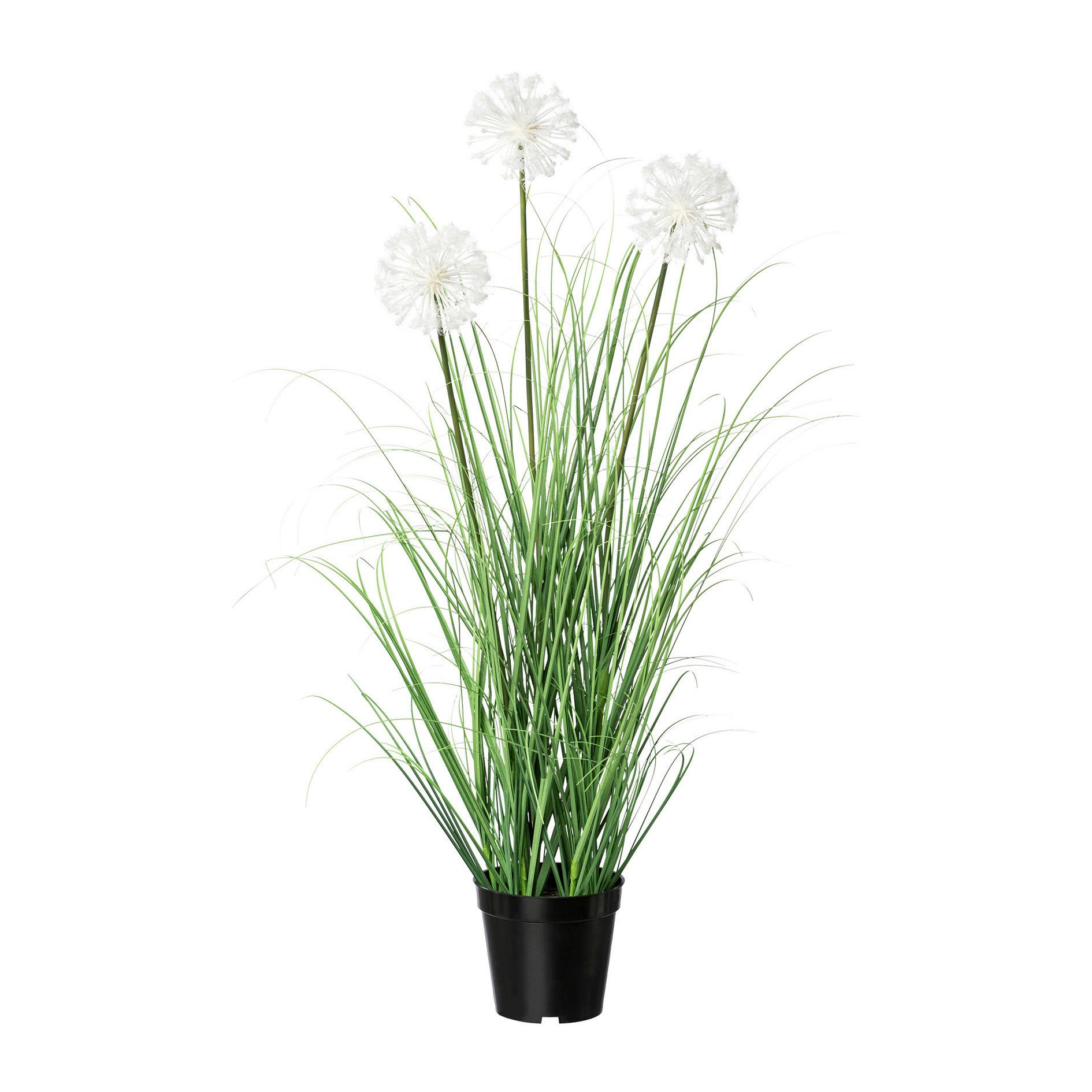 Kunstpflanze Daisy in Grün, ca. 78cm - Schwarz/Weiß, MODERN, Kunststoff (78cm) - P & B